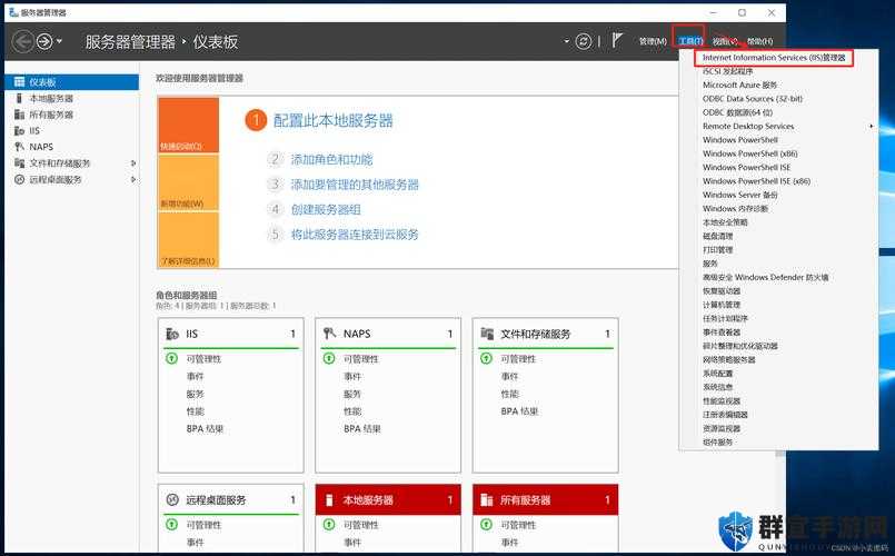 「下载服务器软件中文版，轻松构建稳定系统」 (服务器软件中文版下载)  第1张
